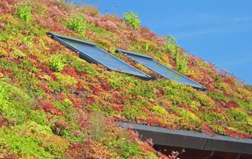 Saucher living roof systems
