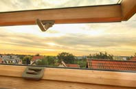 rated Saucher roof window companies
